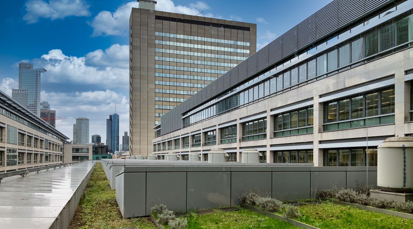 Grand Campus - Erstellen einer Technical Vendor Due Diligence