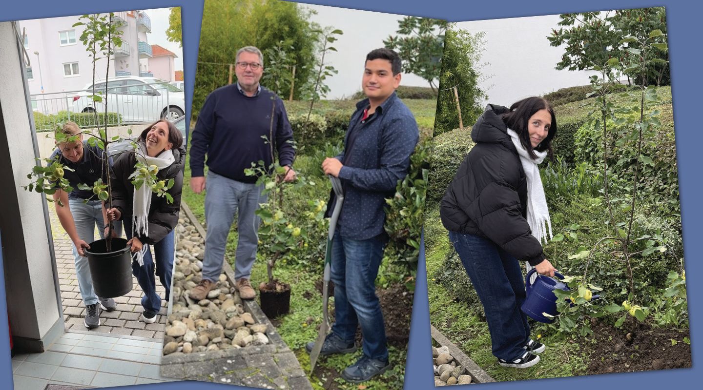 Baum-Challenge - Gemeinsam für die Umwelt